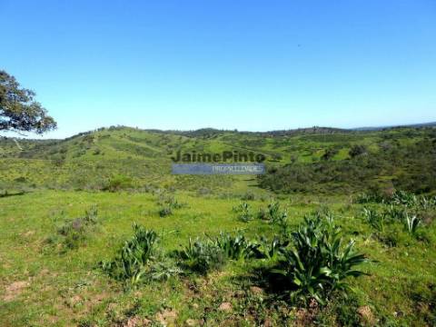 3.500.000m2 Herdade próxima Alqueva. Portugal, Évora, Portel.