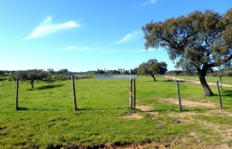 3.500.000m2 Herdade próxima Alqueva. Portugal, Évora, Portel.