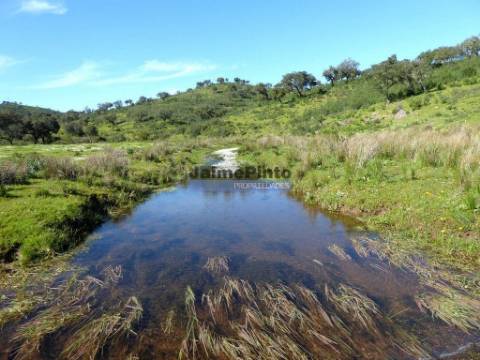 3.500.000m2 Herdade próxima Alqueva. Portugal, Évora, Portel.
