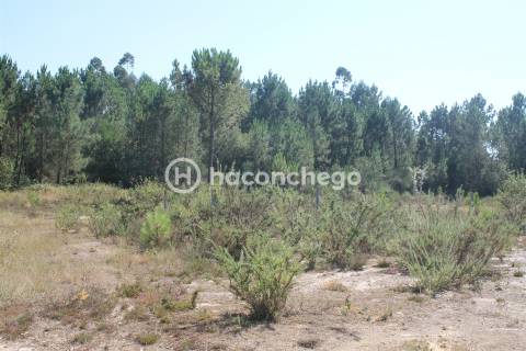 Terreno  Venda em Ucha,Barcelos