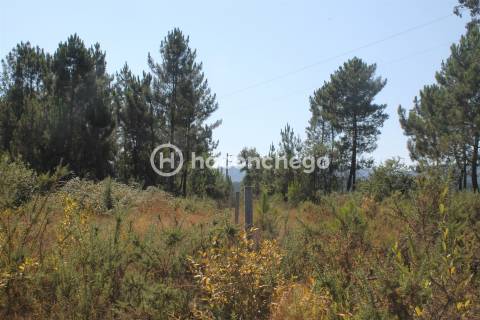 Terreno  Venda em Ucha,Barcelos