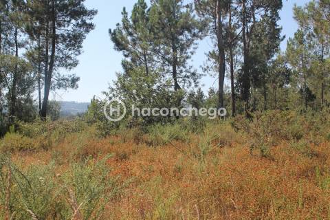 Terreno  Venda em Ucha,Barcelos