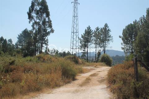 Terreno  Venda em Ucha,Barcelos