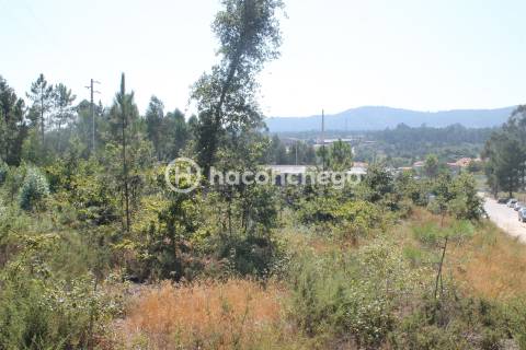 Terreno  Venda em Ucha,Barcelos