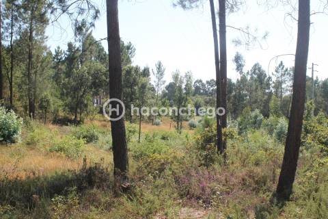 Terreno  Venda em Ucha,Barcelos