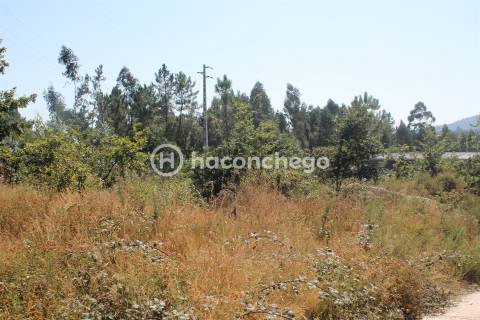 Terreno  Venda em Ucha,Barcelos