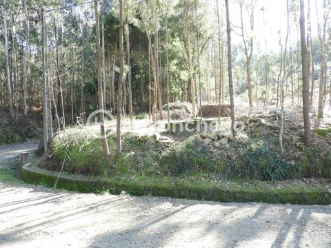 Terreno Rústico com 3051m2 Quintiães - Barcelos