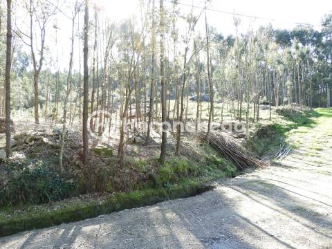 Terreno Rústico com 3051m2 Quintiães - Barcelos