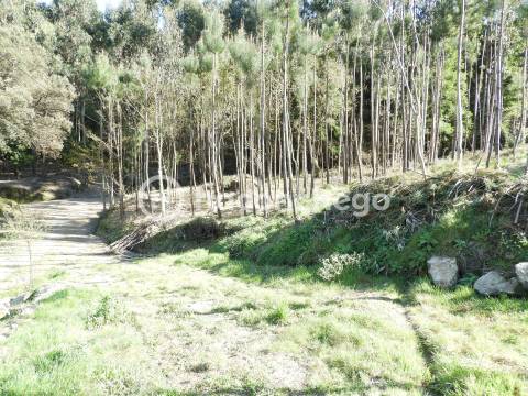 Terreno Rústico com 3051m2 Quintiães - Barcelos