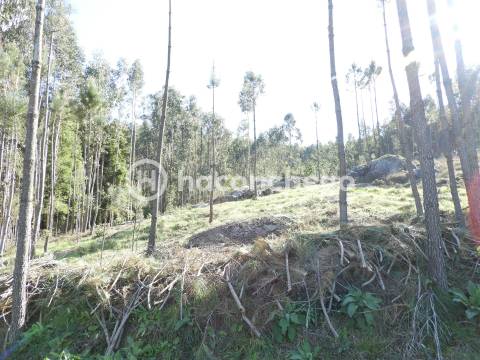 Terreno Rústico com 3051m2 Quintiães - Barcelos