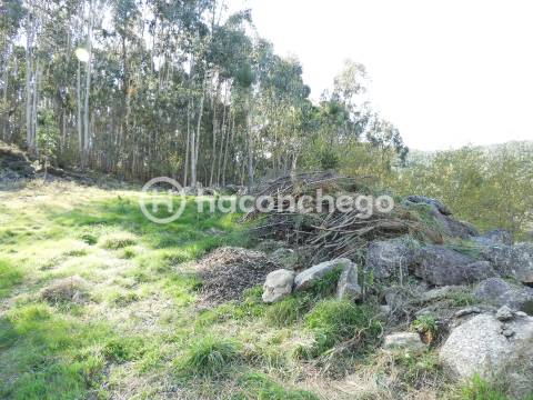 Terreno Rústico com 3051m2 Quintiães - Barcelos