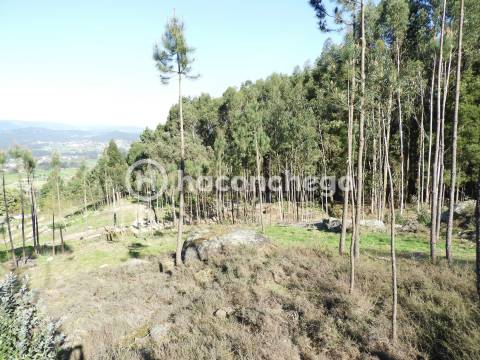 Terreno Rústico com 3051m2 Quintiães - Barcelos