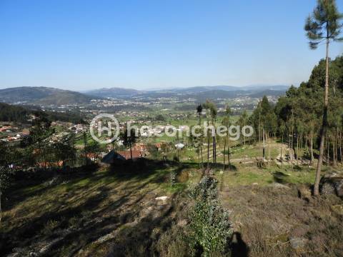 Terreno Rústico com 3051m2 Quintiães - Barcelos