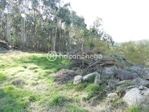Terreno Rústico com 3051m2 Quintiães - Barcelos