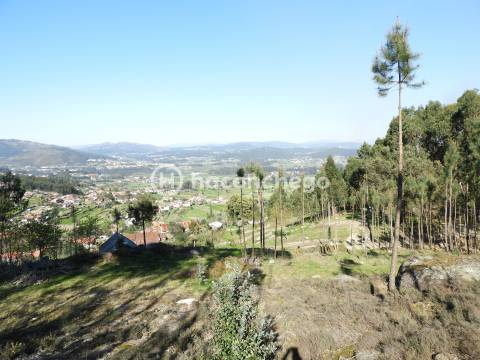 Terreno Rústico com 3051m2 Quintiães - Barcelos
