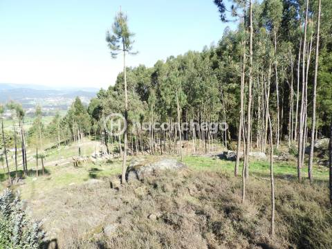 Terreno Rústico com 3051m2 Quintiães - Barcelos