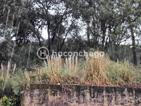 Lote Construção 640m2 Abade de Neiva - Barcelos