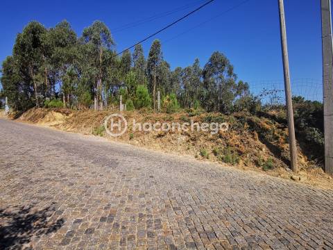 Terreno com aproximadamente 5.866 m2, localizada na freguesia de Cristelo, Barcelos