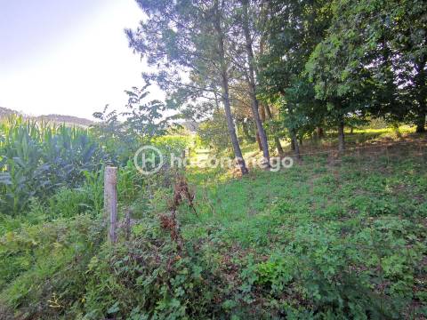 Terreno com aproximadamente 5.866 m2, localizada na freguesia de Cristelo, Barcelos