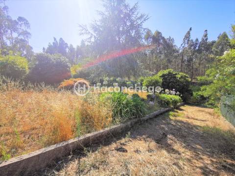 Moradia individual T3 inserida num terreno com cerca 7.000 m2 em Balasar Póvoa de Varzim