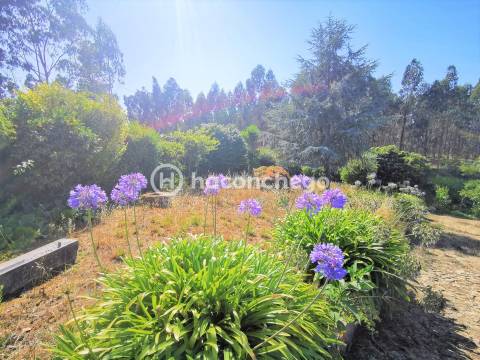 Moradia individual T3 inserida num terreno com cerca 7.000 m2 em Balasar Póvoa de Varzim