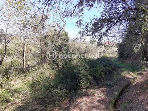 Terreno agricola Alvito São Pedro Barcelos