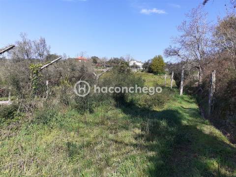 Terreno agricola Alvito São Pedro Barcelos