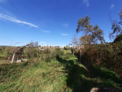 Terreno agricola Alvito São Pedro Barcelos