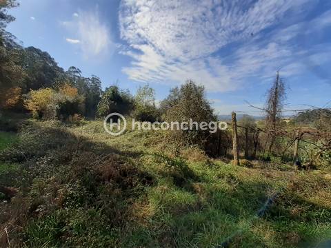 Terreno agricola Alvito São Pedro Barcelos