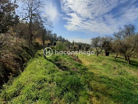 Terreno agricola Alvito São Pedro Barcelos