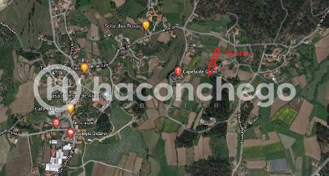 Terreno agricola Alvito São Pedro Barcelos