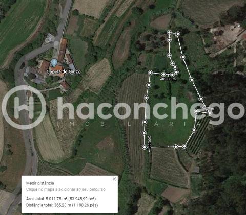 Terreno agricola Alvito São Pedro Barcelos