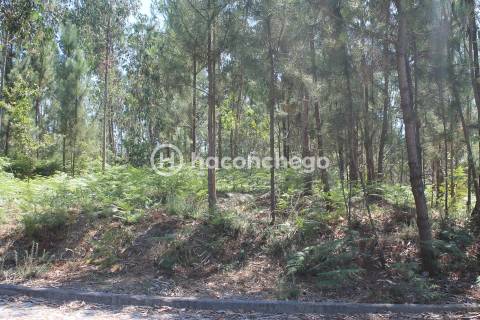 Terreno para Construção em Alvelos Barcelos