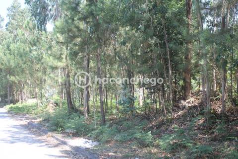Terreno para Construção em Alvelos Barcelos