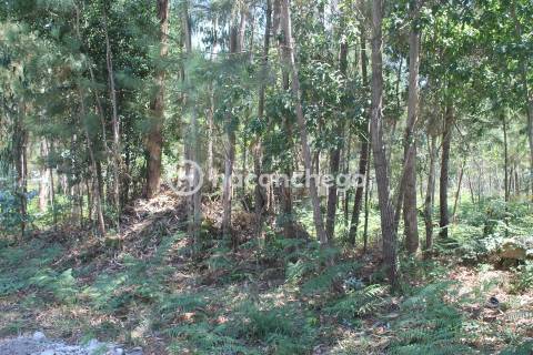 Terreno para Construção em Alvelos Barcelos