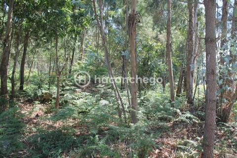 Terreno para Construção em Alvelos Barcelos