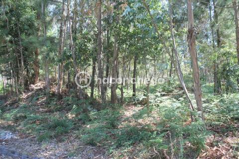 Terreno para Construção em Alvelos Barcelos