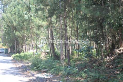 Terreno para Construção em Alvelos Barcelos