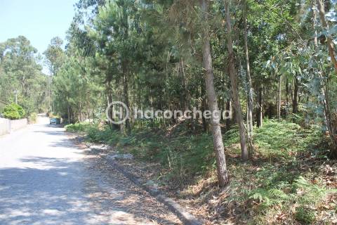 Terreno para Construção em Alvelos Barcelos