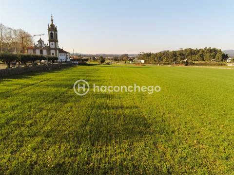Terreno urbanizável em Alvelos Barcelos