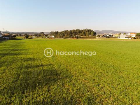 Terreno urbanizável em Alvelos Barcelos