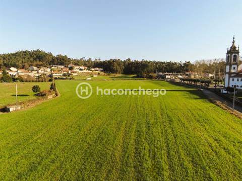 Terreno urbanizável em Alvelos Barcelos