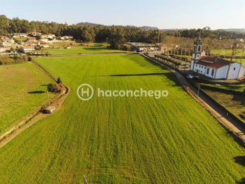 Terreno urbanizável em Alvelos Barcelos