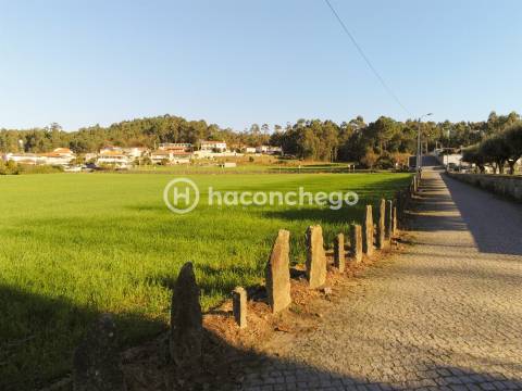 Terreno urbanizável em Alvelos Barcelos