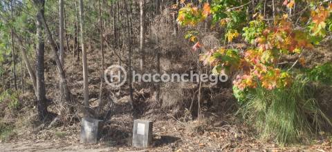 Terreno de Construção com vista para Barcelos