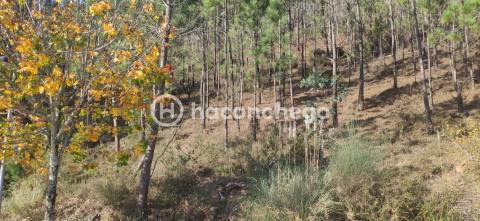 Terreno de Construção com vista para Barcelos