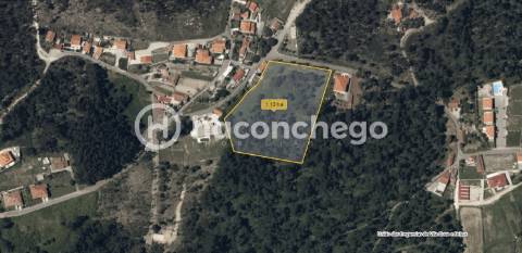 Terreno para venda Vila Cova Barcelos