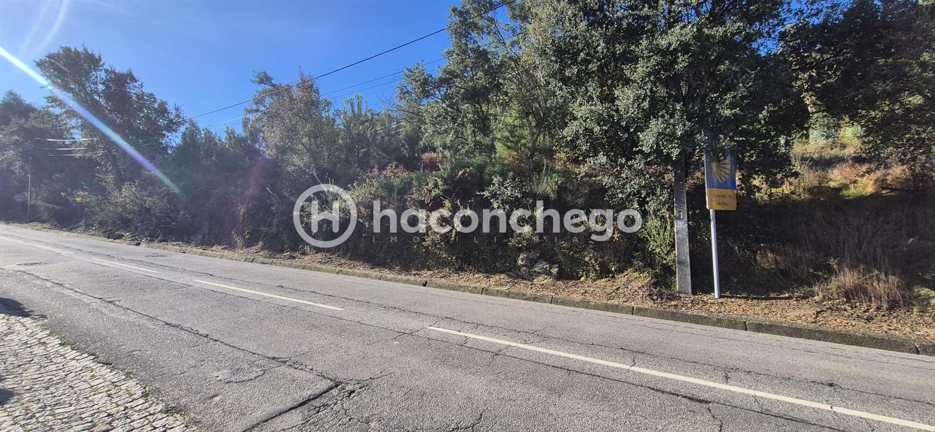 Terreno Urbano  Venda em Pereira,Barcelos