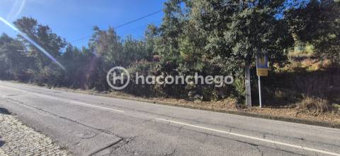 Terreno Urbano  Venda em Pereira,Barcelos