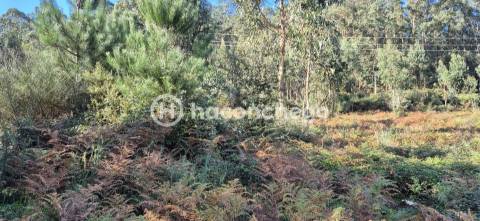 Terreno Urbano  Venda em Pereira,Barcelos